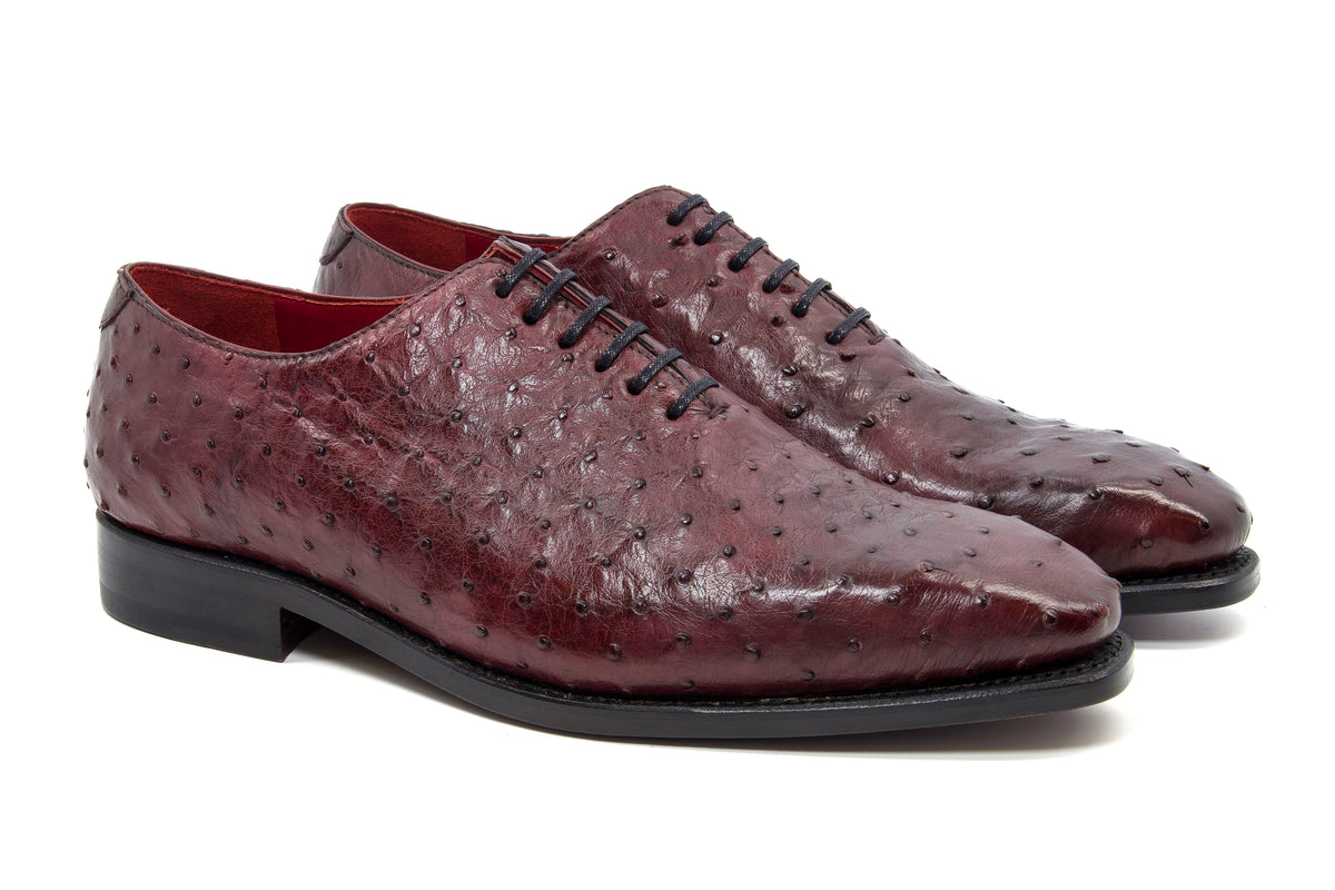 Ostrich - Wholecut Derby - Shoes by Urbbana - Exquisite Leather & Exotic Skin Shoes