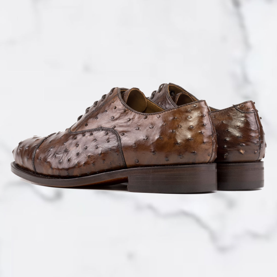 Genuine Ostrich Oxford - Dress II - Stylish Model
