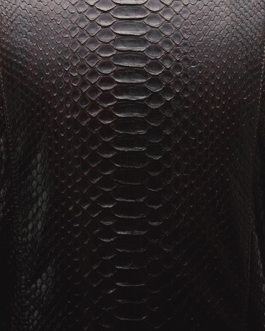 Python Leather Jacket - Brown